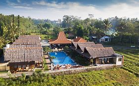 Shanaya Hotel&Cafe